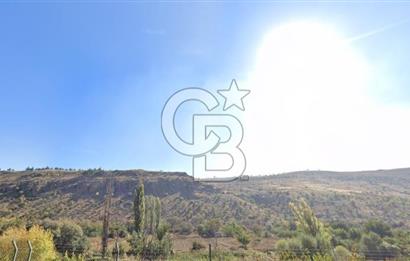 ANKARA SİNCAN OSMANİYE DE SATİLİK TARLA