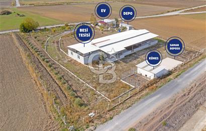 Foça Gerenköy'de Satılık Çiftlik ve 2+1 Ev