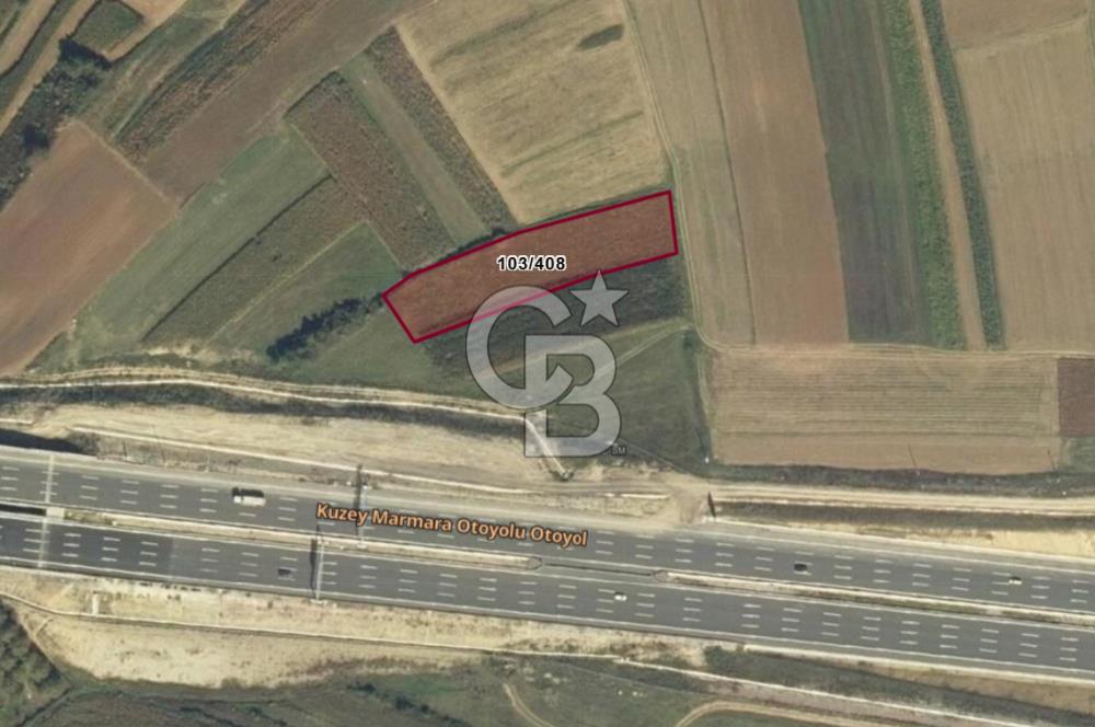 İzmit Bayraktar Kuzey Marmara Otoyolunda Tarla
