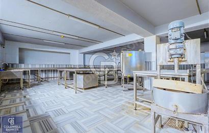 ÜSKÜDAR KISIKLI'DA KÖŞE PARSEL 4.714 m² SATILIK BİNA