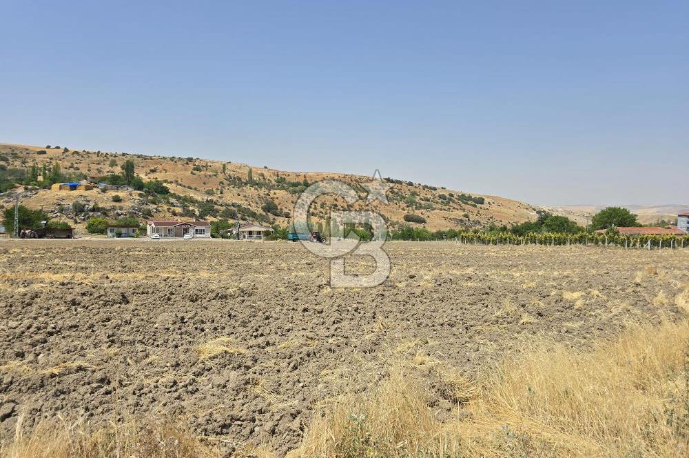 ŞEHİTALİ YAPILAŞMA İÇİNDE KÖŞE VİLLA PARSELİ 1674m2 