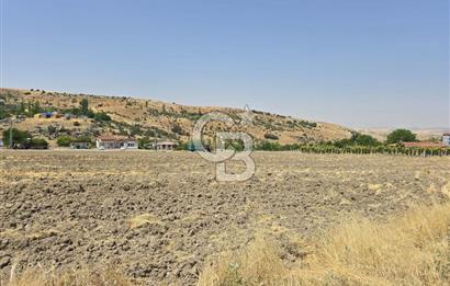 ŞEHİTALİ YAPILAŞMA İÇİNDE KÖŞE VİLLA PARSELİ 1674m2 