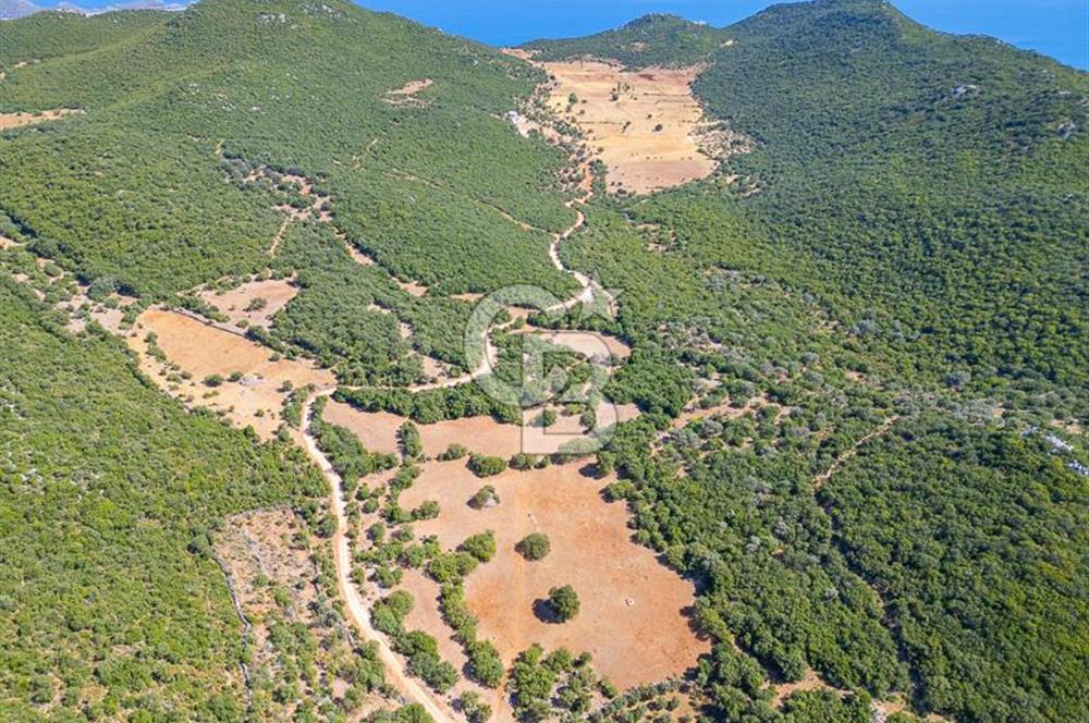 CB ARDENDEN ANTALYA KAŞ BELENLİDE 6816 M2 SATILIK TARLA