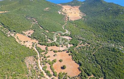 CB ARDENDEN ANTALYA KAŞ BELENLİDE 6816 M2 SATILIK TARLA