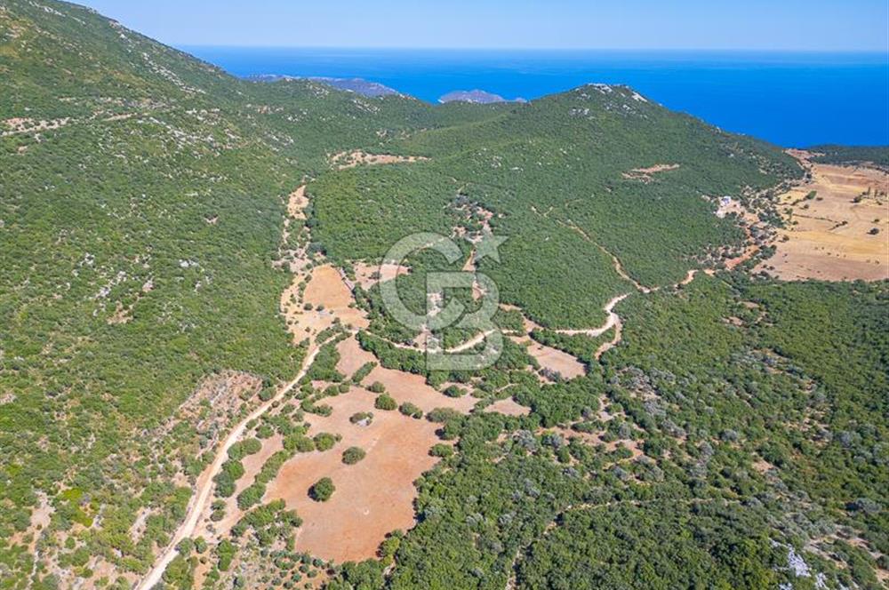 CB ARDENDEN ANTALYA KAŞ BELENLİDE 6816 M2 SATILIK TARLA