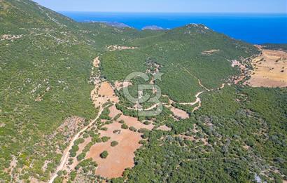 CB ARDENDEN ANTALYA KAŞ BELENLİDE 6816 M2 SATILIK TARLA