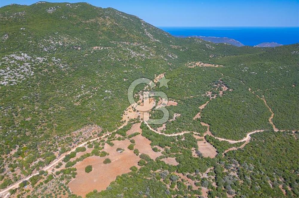 CB ARDENDEN ANTALYA KAŞ BELENLİDE 6816 M2 SATILIK TARLA