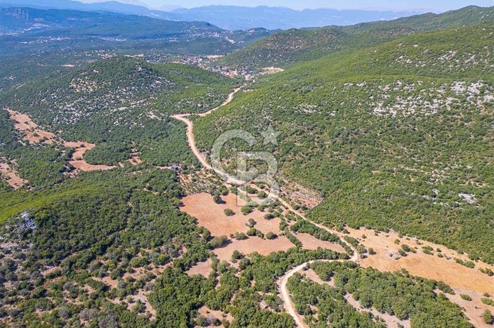 CB ARDENDEN ANTALYA KAŞ BELENLİDE 6816 M2 SATILIK TARLA