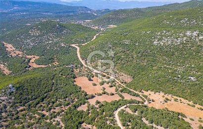 CB ARDENDEN ANTALYA KAŞ BELENLİDE 6816 M2 SATILIK TARLA