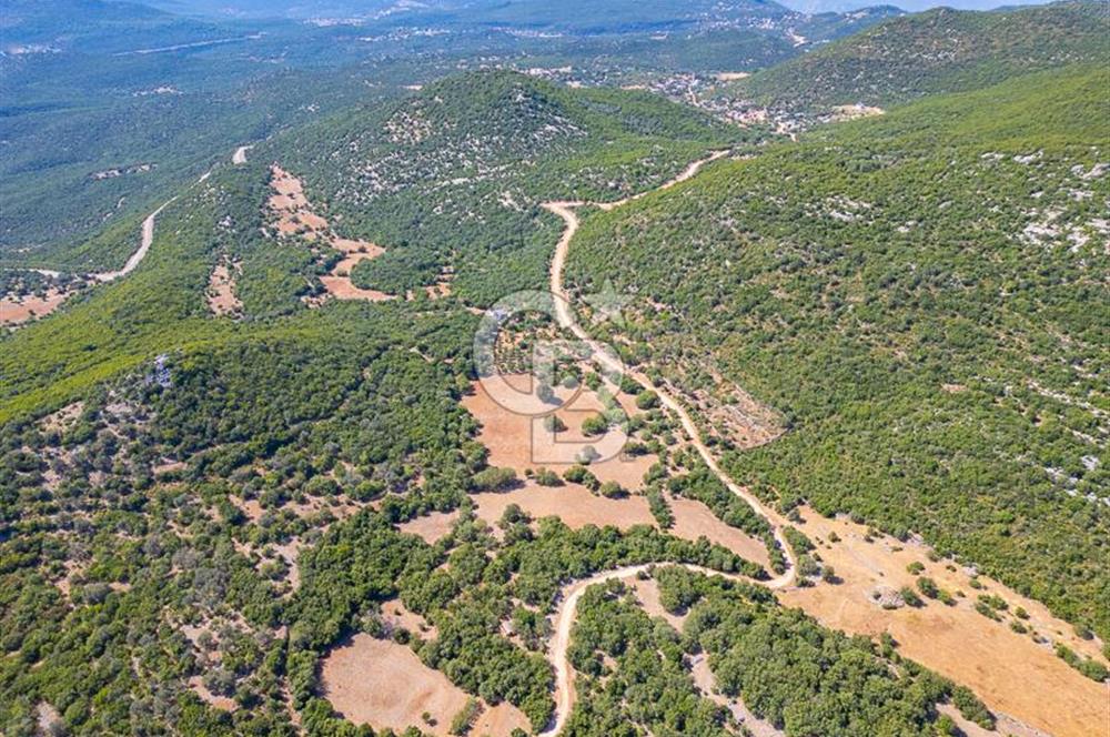 CB ARDENDEN ANTALYA KAŞ BELENLİDE 6816 M2 SATILIK TARLA