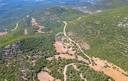 CB ARDENDEN ANTALYA KAŞ BELENLİDE 6816 M2 SATILIK TARLA