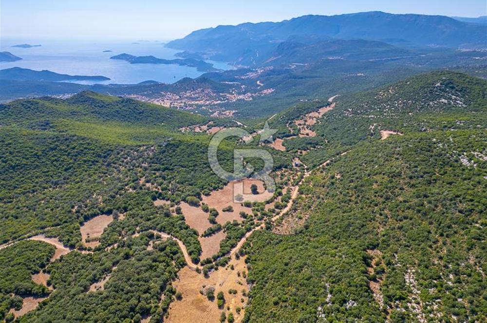 CB ARDENDEN ANTALYA KAŞ BELENLİDE 6816 M2 SATILIK TARLA