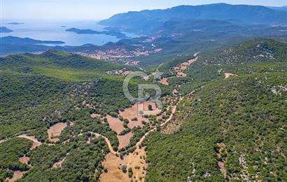 CB ARDENDEN ANTALYA KAŞ BELENLİDE 6816 M2 SATILIK TARLA