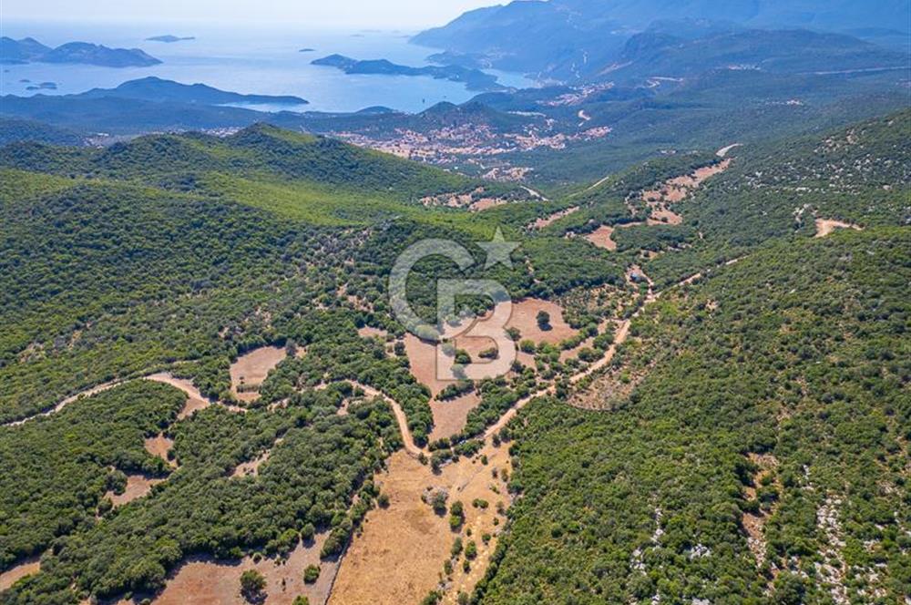 CB ARDENDEN ANTALYA KAŞ BELENLİDE 6816 M2 SATILIK TARLA