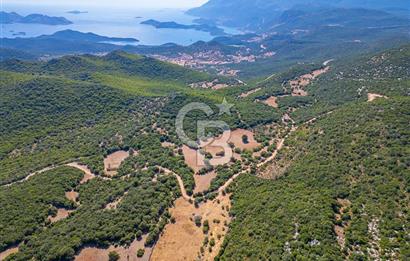 CB ARDENDEN ANTALYA KAŞ BELENLİDE 6816 M2 SATILIK TARLA