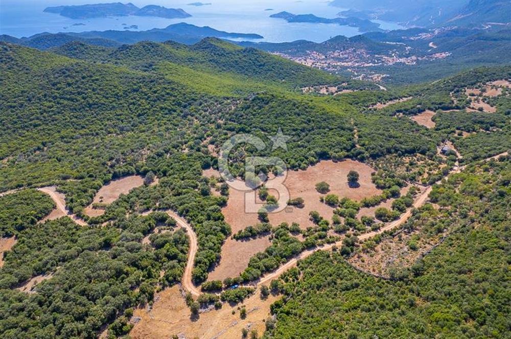 CB ARDENDEN ANTALYA KAŞ BELENLİDE 6816 M2 SATILIK TARLA