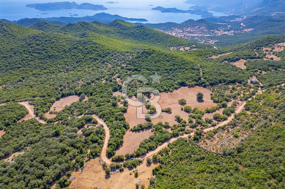 CB ARDENDEN ANTALYA KAŞ BELENLİDE 6816 M2 SATILIK TARLA