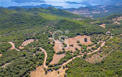 CB ARDENDEN ANTALYA KAŞ BELENLİDE 6816 M2 SATILIK TARLA