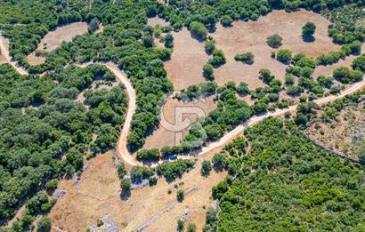CB ARDENDEN ANTALYA KAŞ BELENLİDE 6816 M2 SATILIK TARLA