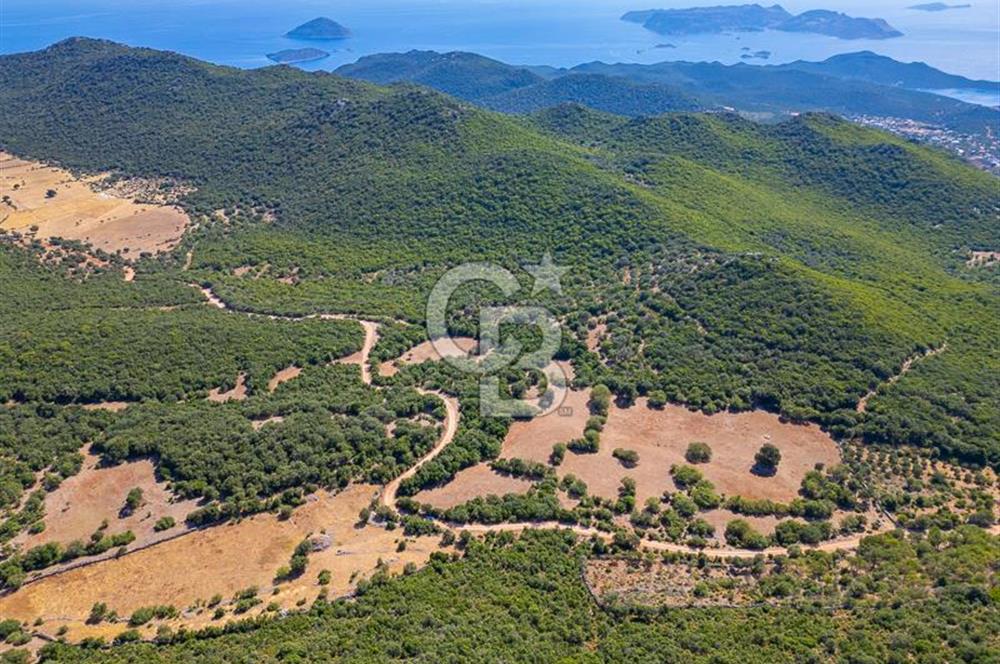 CB ARDENDEN ANTALYA KAŞ BELENLİDE 6816 M2 SATILIK TARLA
