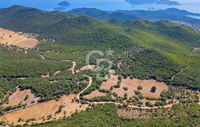 CB ARDENDEN ANTALYA KAŞ BELENLİDE 6816 M2 SATILIK TARLA