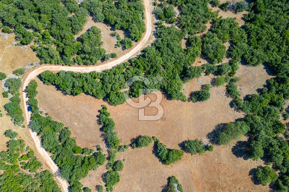 CB ARDENDEN ANTALYA KAŞ BELENLİDE 6816 M2 SATILIK TARLA