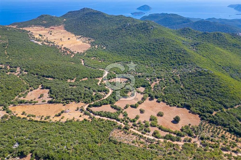CB ARDENDEN ANTALYA KAŞ BELENLİDE 6816 M2 SATILIK TARLA