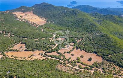 CB ARDENDEN ANTALYA KAŞ BELENLİDE 6816 M2 SATILIK TARLA