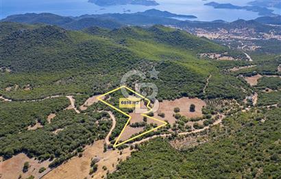 CB ARDENDEN ANTALYA KAŞ BELENLİDE 6816 M2 SATILIK TARLA