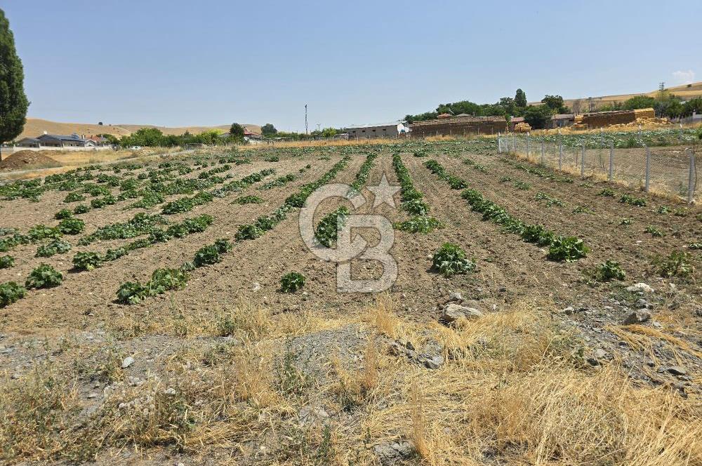 ŞEHİTALİ 'DE VİLLA İMARLI KÖŞE PARSEL 1674M2