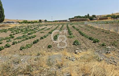 ŞEHİTALİ 'DE VİLLA İMARLI KÖŞE PARSEL 1674M2