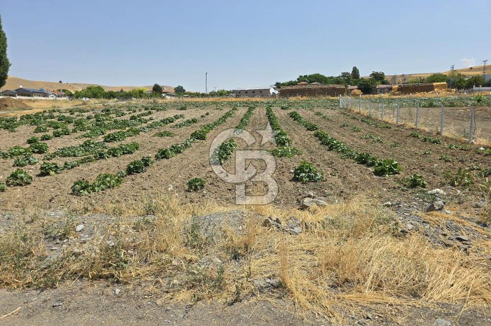 ŞEHİTALİ 'DE VİLLA İMARLI KÖŞE PARSEL 1674M2