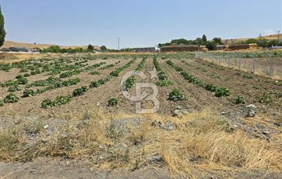 ŞEHİTALİ 'DE VİLLA İMARLI KÖŞE PARSEL 1674M2