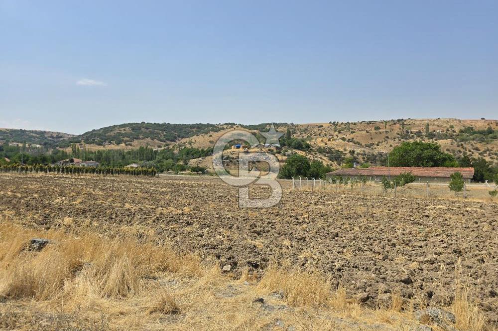 ŞEHİTALİ 'DE VİLLA İMARLI KÖŞE PARSEL 1674M2