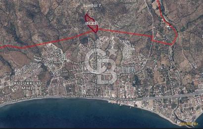 AYVACIK KÜÇÜKKUYU ADATEPE DENİZ MANZARALI 16.574 M2 ZEYTİNLİK