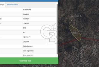 AYVACIK KÜÇÜKKUYU ADATEPE DENİZ MANZARALI 16.574 M2 ZEYTİNLİK