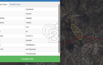 AYVACIK KÜÇÜKKUYU ADATEPE DENİZ MANZARALI 16.574 M2 ZEYTİNLİK
