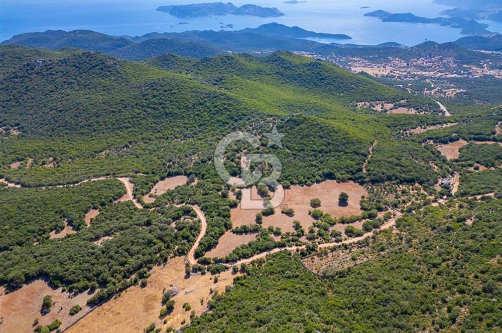 CB ARDENDEN ANTALYA KAŞ BELENLİDE 6816 M2 SATILIK TARLA