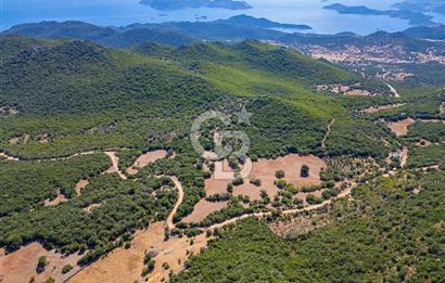 CB ARDENDEN ANTALYA KAŞ BELENLİDE 6816 M2 SATILIK TARLA