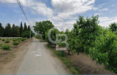ASFALT YOLA CEPHE KÖYE YAKIN YATIRIM DEĞERİ YÜKSEK ARAZİ