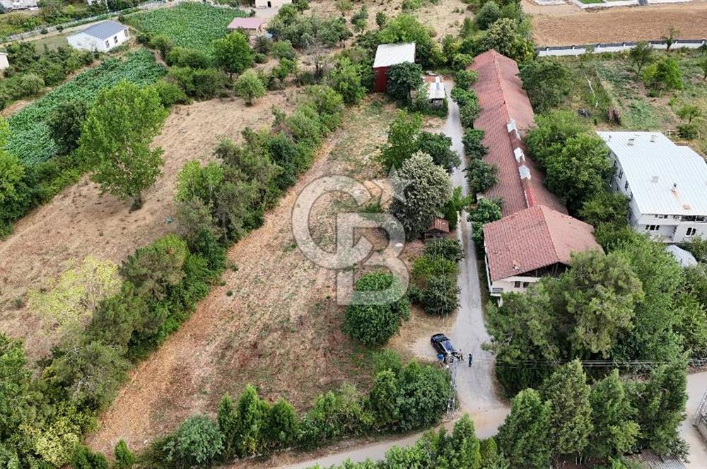 CB-TAN KARTEPE ŞİRİN SULHİYE'DE 5.252m2 SATILIK ÇİFTLİK