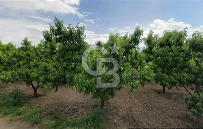 ASFALT YOLA CEPHE KÖYE YAKIN YATIRIM DEĞERİ YÜKSEK ARAZİ