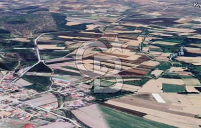 Kırklareli Merkez Koyunbaba Satılık 1.633 M2 Arazi