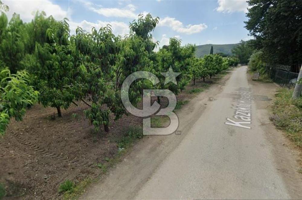 ASFALT YOLA CEPHE KÖYE YAKIN YATIRIM DEĞERİ YÜKSEK ARAZİ