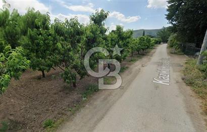 ASFALT YOLA CEPHE KÖYE YAKIN YATIRIM DEĞERİ YÜKSEK ARAZİ