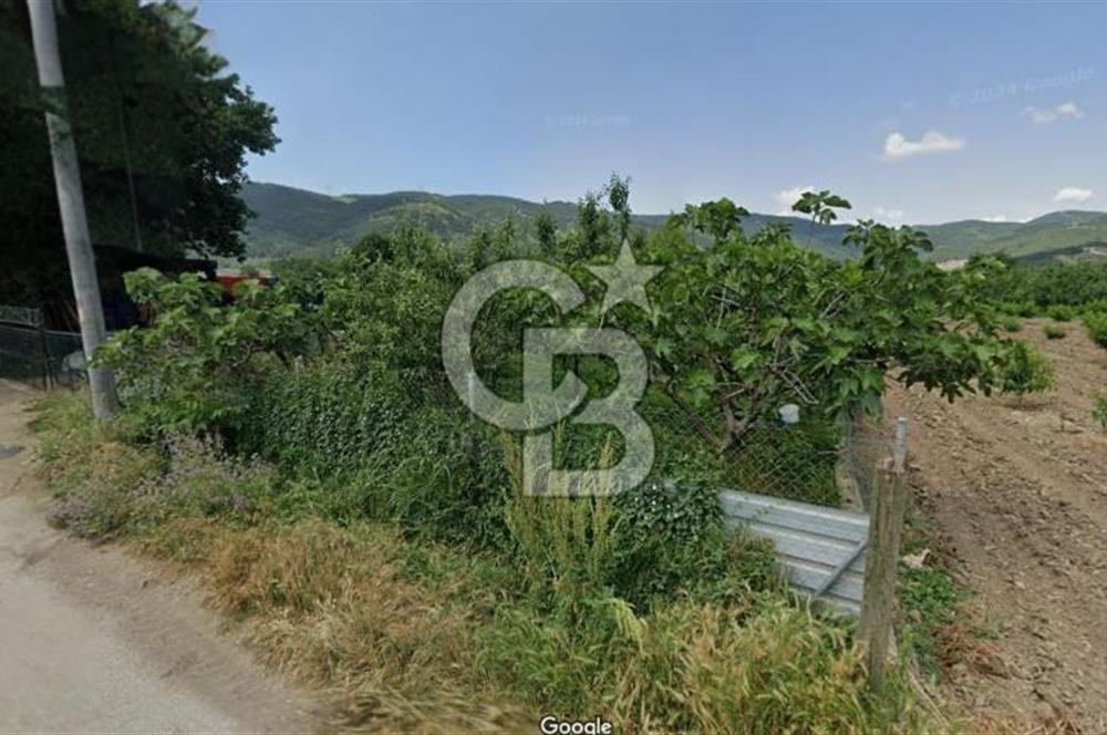 ASFALT YOLA CEPHE KÖYE YAKIN YATIRIM DEĞERİ YÜKSEK ARAZİ