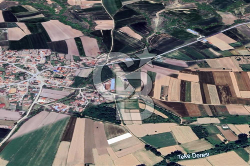 Kırklareli Merkez Koyunbaba Satılık 1.633 M2 Arazi