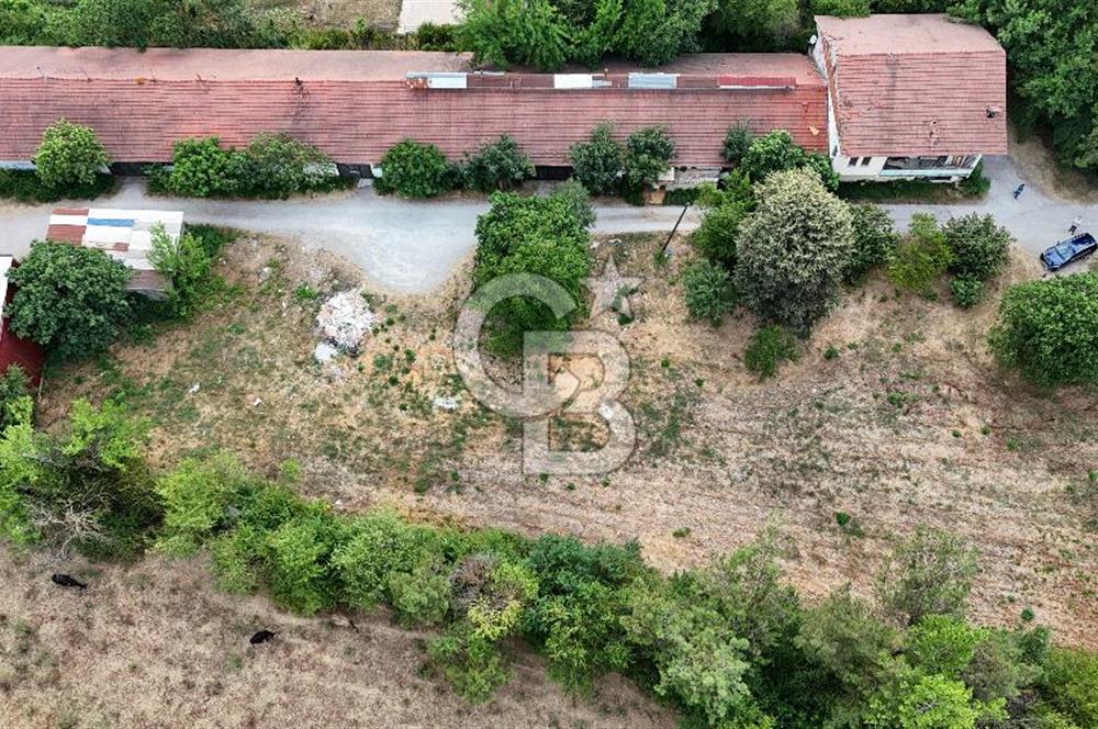 CB-TAN KARTEPE ŞİRİN SULHİYE'DE 5.252m2 SATILIK ÇİFTLİK
