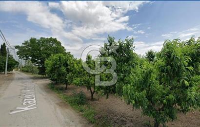 ASFALT YOLA CEPHE KÖYE YAKIN YATIRIM DEĞERİ YÜKSEK ARAZİ