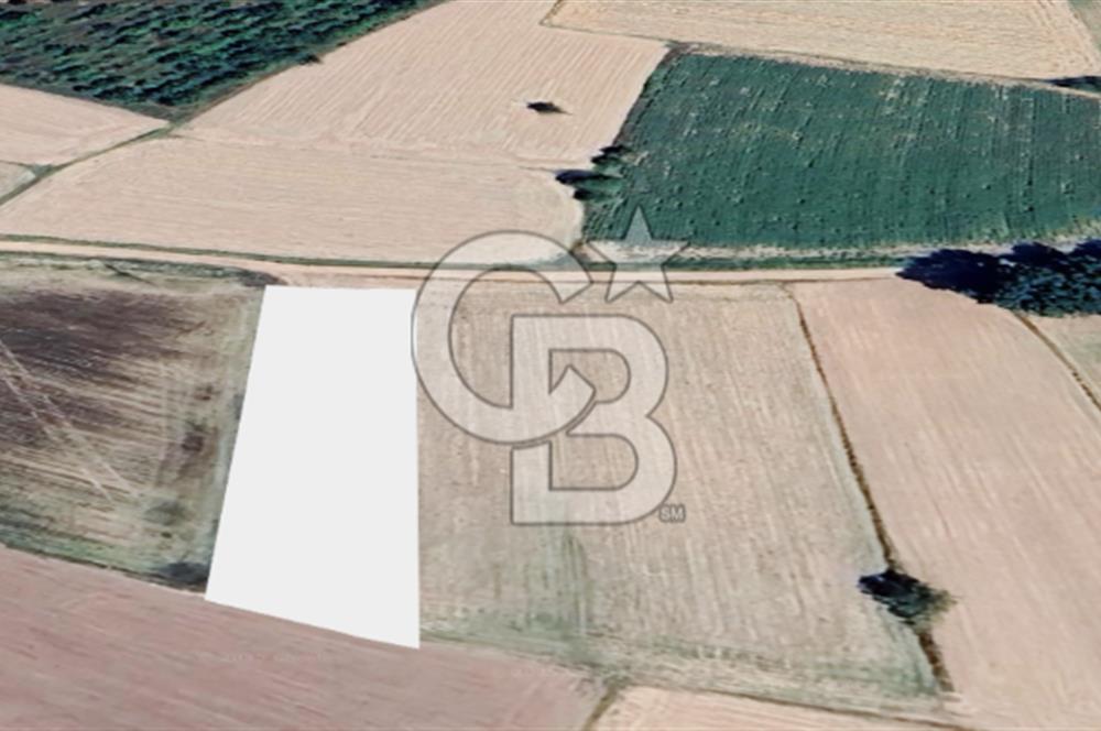 Kırklareli Merkez Koyunbaba Satılık 1.633 M2 Arazi